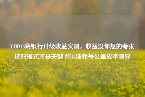COD16烧银行升级收益实测，收益没你想的夸张选对模式才是关键 附14油耗每公里成本测算