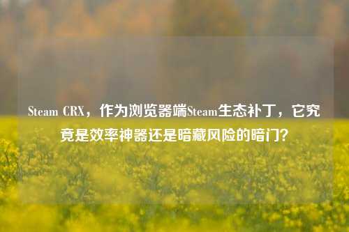 Steam CRX,作为浏览器端Steam生态补丁,它究竟是效率神器还是暗藏风险的暗门?