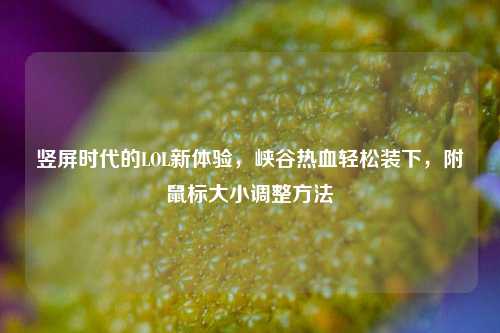 竖屏时代的LOL新体验,峡谷热血轻松装下,附鼠标大小调整方法