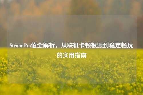 Steam Pin值全解析，从联机卡顿根源到稳定畅玩的实用指南