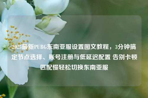 2025最新PUBG东南亚服设置图文教程，3分钟搞定节点选择、账号注册与低延迟配置 告别卡顿匹配慢轻松切换东南亚服