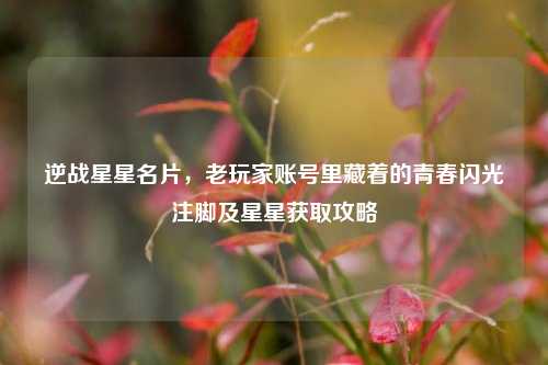 逆战星星名片,老玩家账号里藏着的青春闪光注脚及星星获取攻略