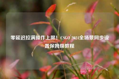零延迟拉满操作上限！CSGO 2024全场景同步设置保姆级教程