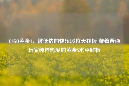 CSGO黄金4，被低估的快乐段位天花板 藏着普通玩家纯粹热爱的黄金S水平解析