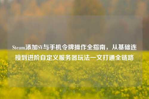 Steam添加SV与手机令牌操作全指南,从基础连接到进阶自定义服务器玩法一文打通全链路