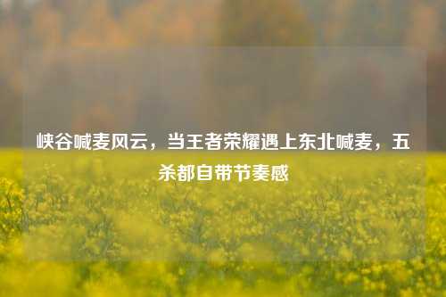 峡谷喊麦风云，当王者荣耀遇上东北喊麦，五杀都自带节奏感