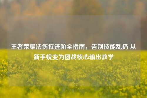 王者荣耀法伤位进阶全指南，告别技能乱扔 从新手蜕变为团战核心输出教学