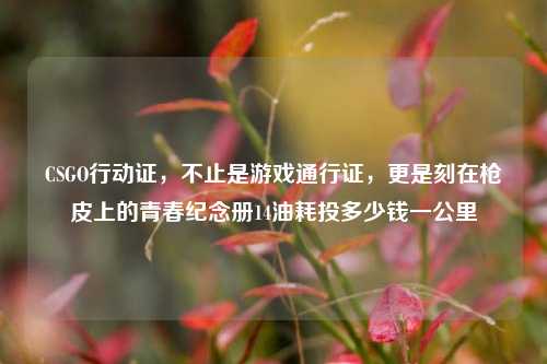 CSGO行动证,不止是游戏通行证,更是刻在枪皮上的青春纪念册14油耗投多少钱一公里