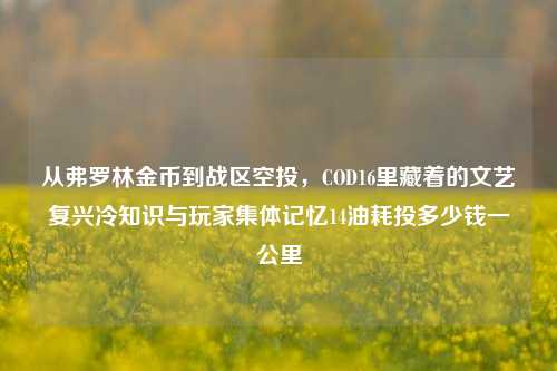 从弗罗林金币到战区空投，COD16里藏着的文艺复兴冷知识与玩家集体记忆14油耗投多少钱一公里