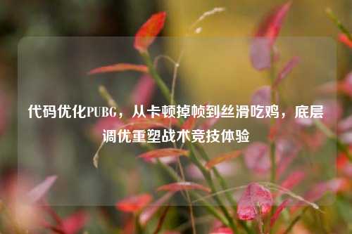 代码优化PUBG，从卡顿掉帧到丝滑吃鸡，底层调优重塑战术竞技体验