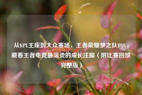 从KPL王座到大众赛场，王者荣耀梦之队DYG，藏着王者电竞最滚烫的成长注脚（附比赛回放完整版）