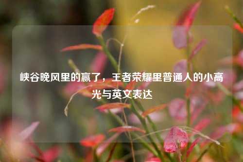 峡谷晚风里的赢了，王者荣耀里普通人的小高光与英文表达