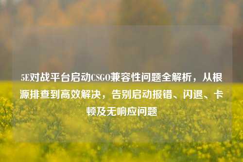 5E对战平台启动CSGO兼容性问题全解析,从根源排查到高效解决,告别启动报错、闪退、卡顿及无响应问题
