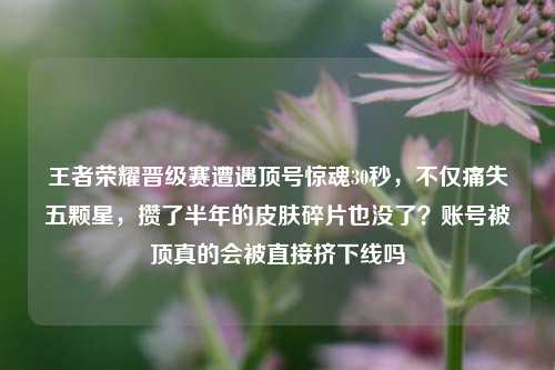 王者荣耀晋级赛遭遇顶号惊魂30秒，不仅痛失五颗星，攒了半年的皮肤碎片也没了？账号被顶真的会被直接挤下线吗