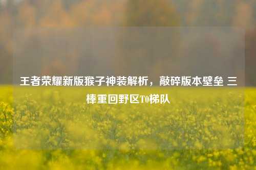 王者荣耀新版猴子神装解析,敲碎版本壁垒 三棒重回野区T0梯队