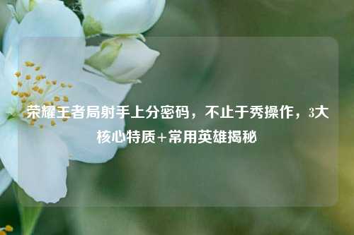 荣耀王者局射手上分密码，不止于秀操作，3大核心特质+常用英雄揭秘