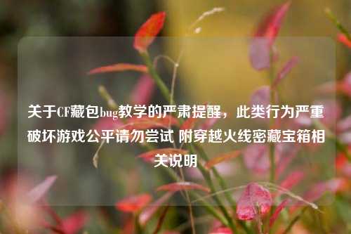 关于CF藏包bug教学的严肃提醒，此类行为严重破坏游戏公平请勿尝试 附穿越火线密藏宝箱相关说明