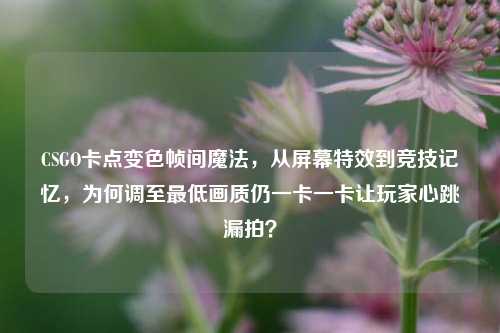 CSGO卡点变色帧间魔法,从屏幕特效到竞技记忆,为何调至最低画质仍一卡一卡让玩家心跳漏拍?