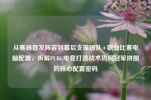 从赛场首发阵容到幕后支撑团队+职业比赛电脑配置，拆解PUBG电竞打造战术协同冠军拼图的核心配置密码