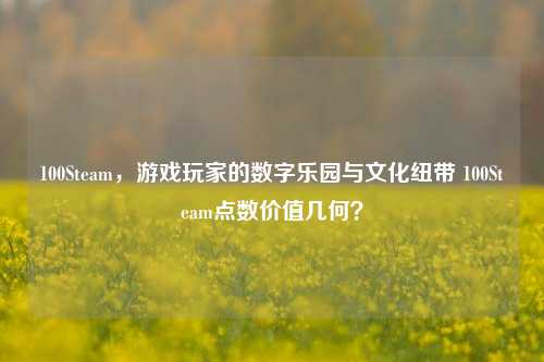 100Steam，游戏玩家的数字乐园与文化纽带 100Steam点数价值几何？