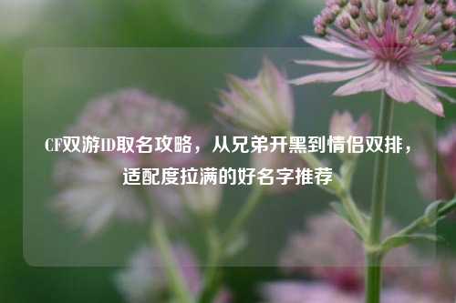 CF双游ID取名攻略，从兄弟开黑到情侣双排，适配度拉满的好名字推荐