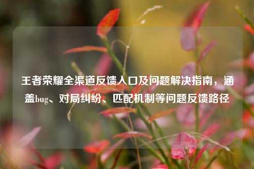 王者荣耀全渠道反馈入口及问题解决指南，涵盖bug、对局纠纷、匹配机制等问题反馈路径