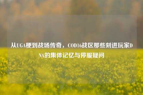 从UGA梗到战场传奇，COD16战区那些刻进玩家DNA的集体记忆与停服疑问