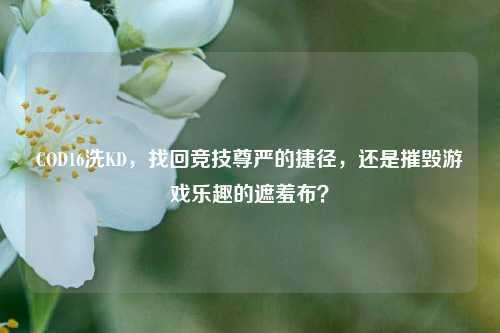 COD16洗KD,找回竞技尊严的捷径,还是摧毁游戏乐趣的遮羞布?
