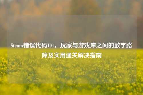 Steam错误代码101，玩家与游戏库之间的数字路障及实用通关解决指南