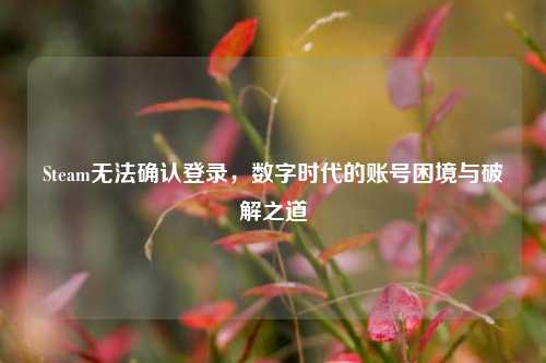 Steam无法确认登录,数字时代的账号困境与破解之道