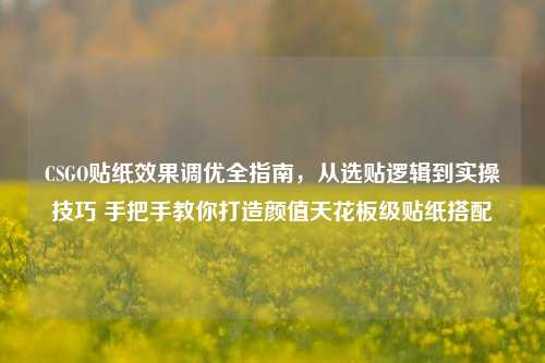 CSGO贴纸效果调优全指南,从选贴逻辑到实操技巧 手把手教你打造颜值天花板级贴纸搭配