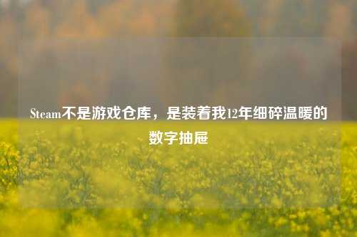 Steam不是游戏仓库，是装着我12年细碎温暖的数字抽屉