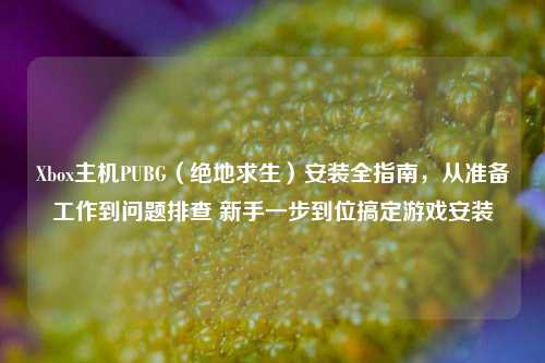 Xbox主机PUBG(绝地求生)安装全指南,从准备工作到问题排查 新手一步到位搞定游戏安装