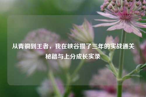 从青铜到王者,我在峡谷攒了三年的实战通关秘籍与上分成长实录