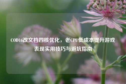 COD16改文档四核优化，老CPU低成本提升游戏表现实用技巧与避坑指南