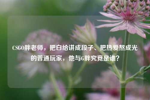 CSGO胖老师,把白给讲成段子、把热爱熬成光的普通玩家,他与G胖究竟是谁?