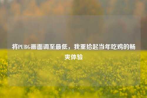 将PUBG画面调至最低,我重拾起当年吃鸡的畅爽体验