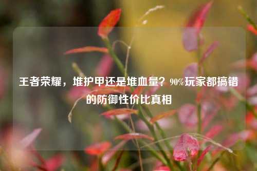 王者荣耀，堆护甲还是堆血量？90%玩家都搞错的防御性价比真相