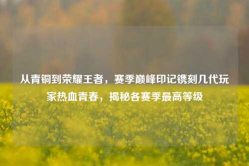 从青铜到荣耀王者，赛季巅峰印记镌刻几代玩家热血青春，揭秘各赛季最高等级