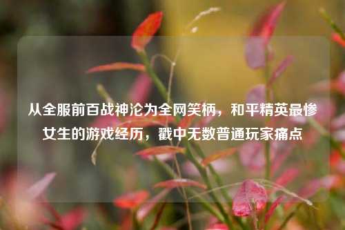 从全服前百战神沦为全网笑柄,和平精英最惨女生的游戏经历,戳中无数普通玩家痛点