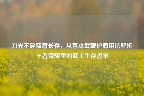 刀光不碎蓝盾长存，从宫本武藏护盾用法解析王者荣耀里的武士生存哲学