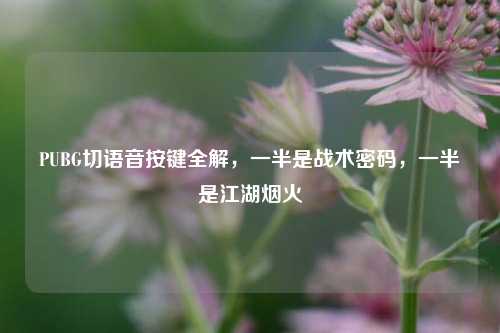 PUBG切语音按键全解，一半是战术密码，一半是江湖烟火
