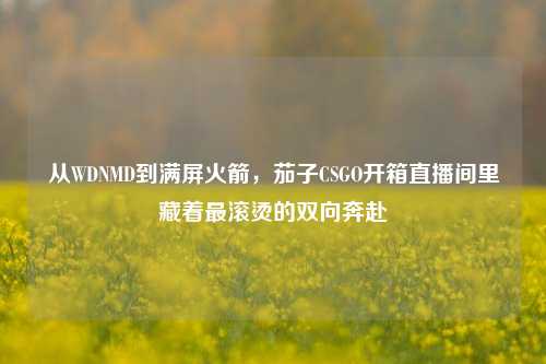 从WDNMD到满屏火箭，茄子CSGO开箱直播间里藏着最滚烫的双向奔赴