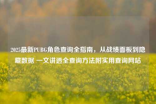2025最新PUBG角色查询全指南，从战绩面板到隐藏数据 一文讲透全查询方法附实用查询网站