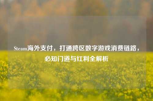 Steam海外支付，打通跨区数字游戏消费链路，必知门道与红利全解析