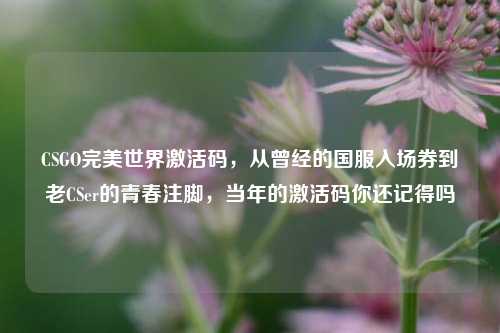 CSGO完美世界激活码，从曾经的国服入场券到老CSer的青春注脚，当年的激活码你还记得吗