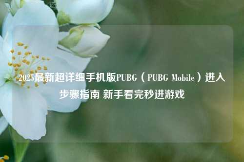2025最新超详细手机版PUBG(PUBG Mobile)进入步骤指南 新手看完秒进游戏