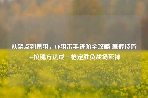 从架点到甩狙,CF狙击手进阶全攻略 掌握技巧+按键方法成一枪定胜负战场死神