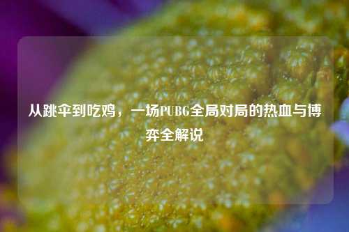 从跳伞到吃鸡，一场PUBG全局对局的热血与博弈全解说