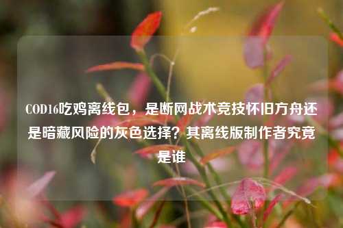 COD16吃鸡离线包,是断网战术竞技怀旧方舟还是暗藏风险的灰色选择?其离线版制作者究竟是谁